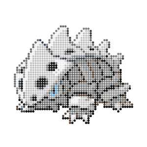 コドラ