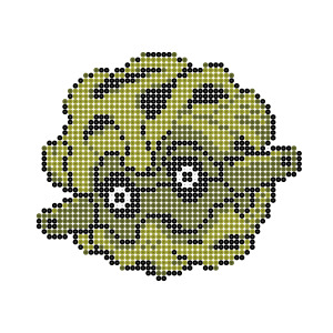 フォレトス