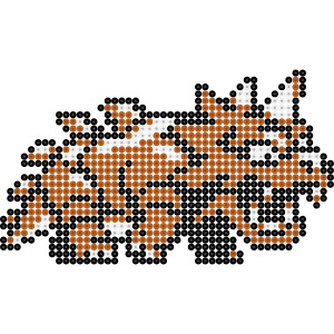 ドドンゴ
