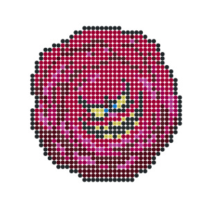 メガザルロック