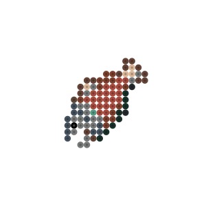 生の鮭