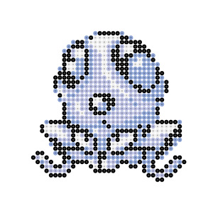 メノクラゲ