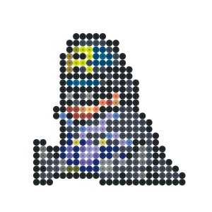 ロビン(偽)