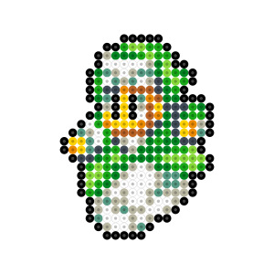 幻術士