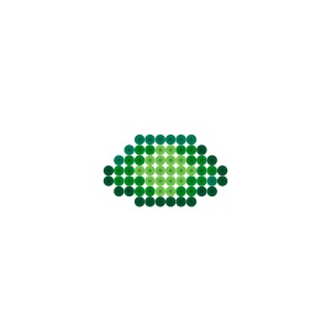 カメのウロコ