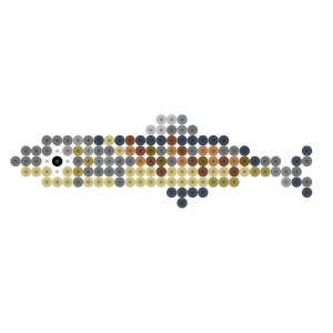 秋刀魚