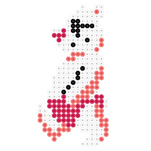 ホワイトベア