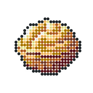 ふしぎなきのみ