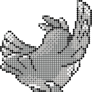ポッポ