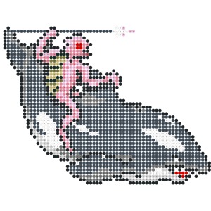 アクアライダー