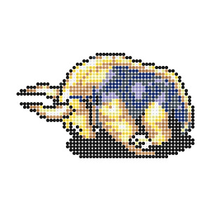 ドロクイ