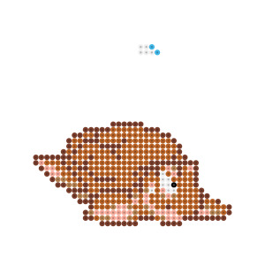 ウミガメ