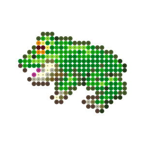 カエル