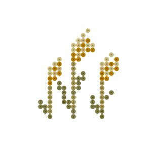 すすき