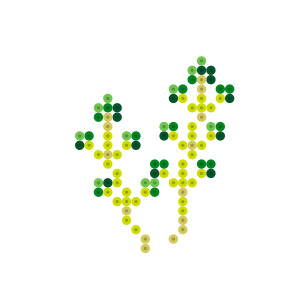 はこべら