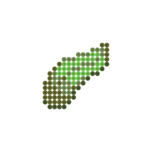 昆布