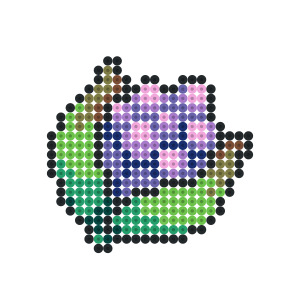 モコシのみ