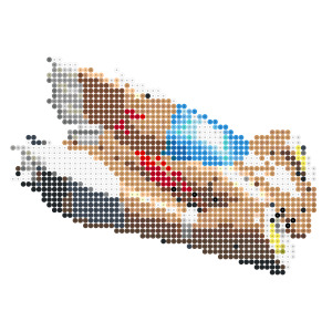 クレイジーホース