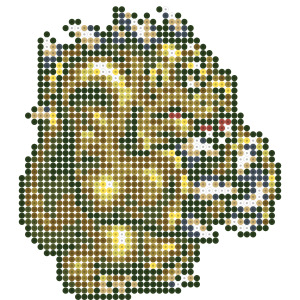 ファットビースト