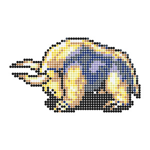 ドロクイ