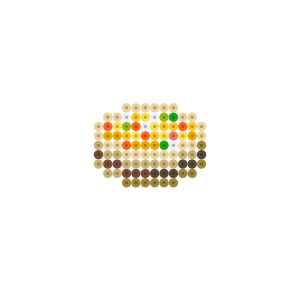 ちらし寿司