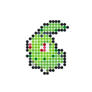 チコリータ