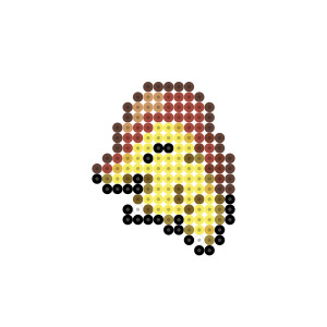 ヒノアラシ