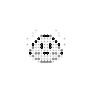 名称不明