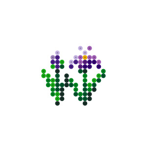 花菖蒲
