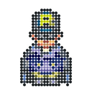 ロビン(偽)