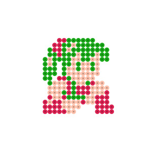 イリス
