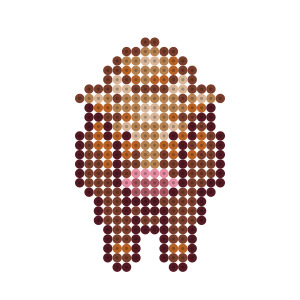 名称不明
