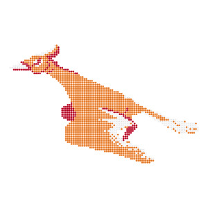 鳳凰