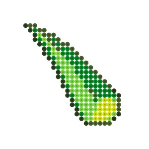 アロエ