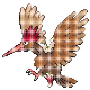 オニドリル
