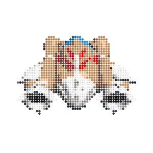 クレイジーホース