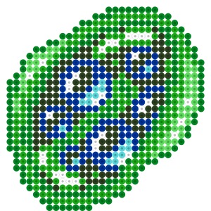 ポルクス