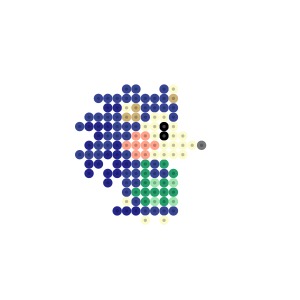 きぬよ