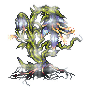 飛竜草