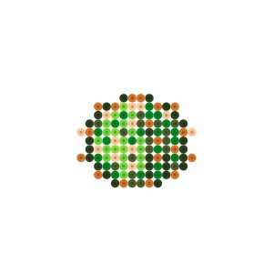 カクタスサボテン