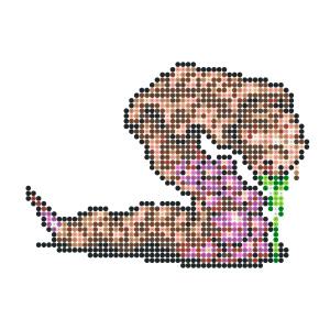 しょうたいふめい