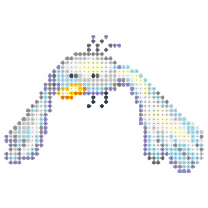 カモメ