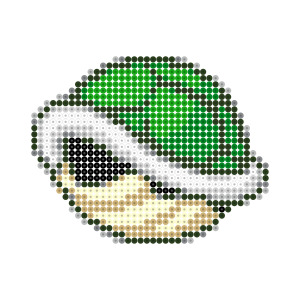 ミドリ甲羅