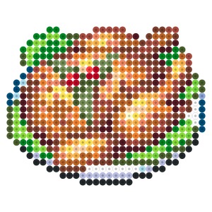 鳥の丸焼き