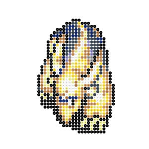 ドロクイ
