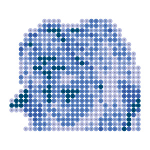 ローザ・ファレル