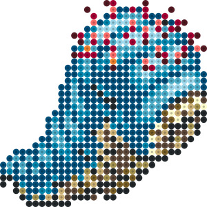 ラウンドウォーム