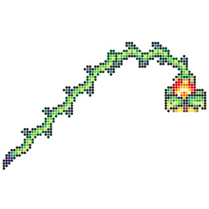 ブラッドローパー